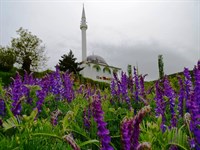 Doğamızdaki Güzellikler